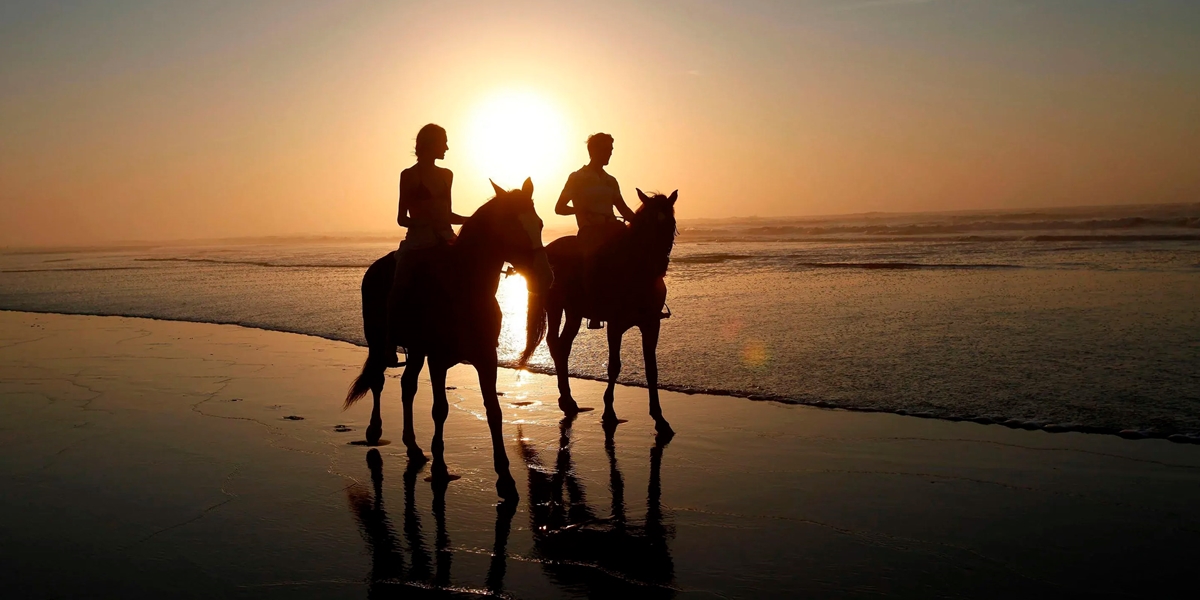 Riders on horseback in sunset