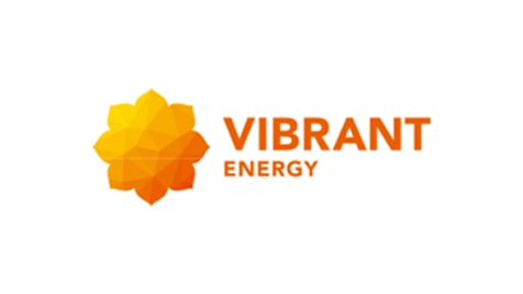 Vibrant Energy Case Study - Portfolio Button